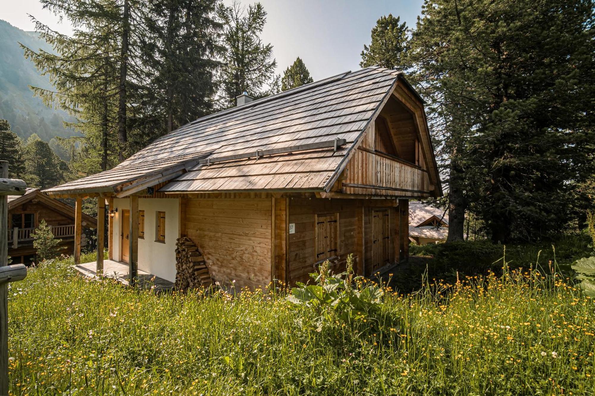 Alpin-Huetten Auf Der Turracherhoehe Haus Murmeltier By S4Y Туррахер-Хёэ Экстерьер фото
