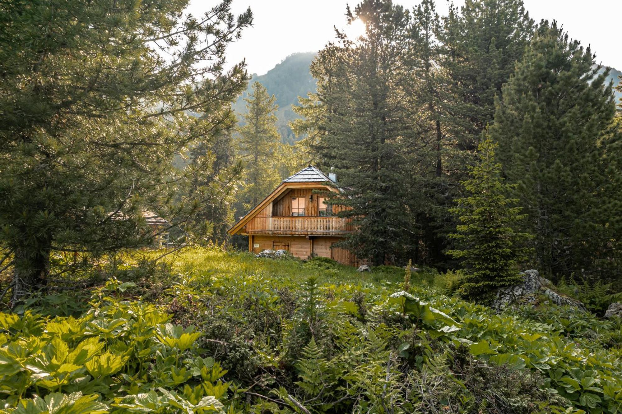 Alpin-Huetten Auf Der Turracherhoehe Haus Murmeltier By S4Y Туррахер-Хёэ Экстерьер фото